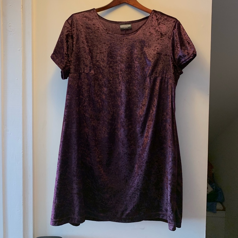 Vintage Velvet dress